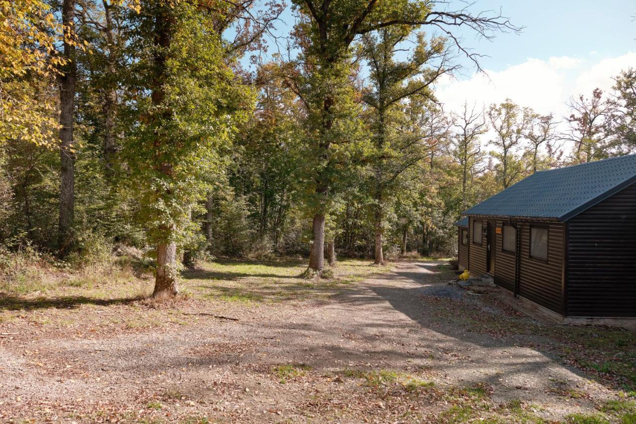 Chalet D'Un Ami Somme-Leuze Luaran gambar